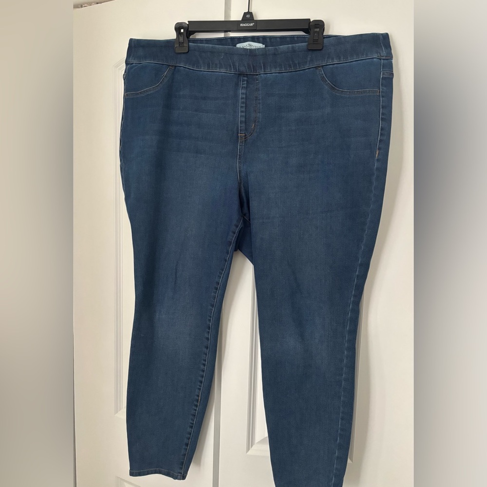 Lane Bryant Stretchy Jeans with Waist Control